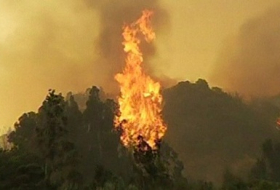 Chile forest fire near Valparaiso sparks evacuations - VIDEO